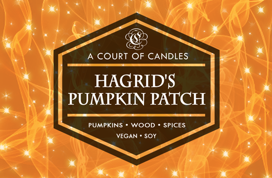 Hagrid's Pumpkin Patch - Soy Candle