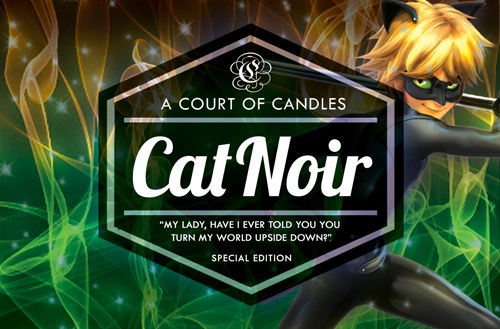 Cat Noir - Soy Candle